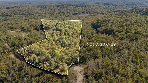 22.6 Acres of Recreational Land for Sale in Clifton, Tennessee