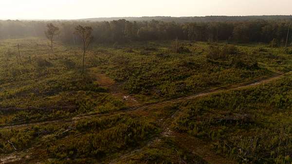 324 Acres of Recreational Land for Sale in Lisbon, Louisiana