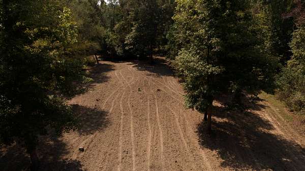 120 Acres of Recreational Land for Sale in Bernice, Louisiana