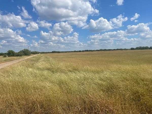 36 Acres of Agricultural Land for Sale in Quemado, Texas