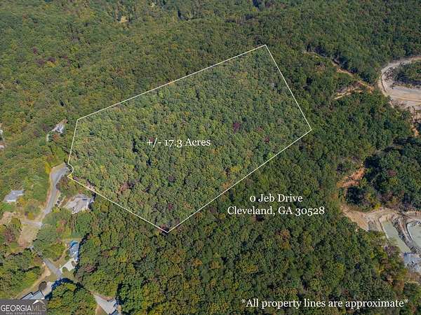 17.3 Acres of Land for Sale in Cleveland, Georgia