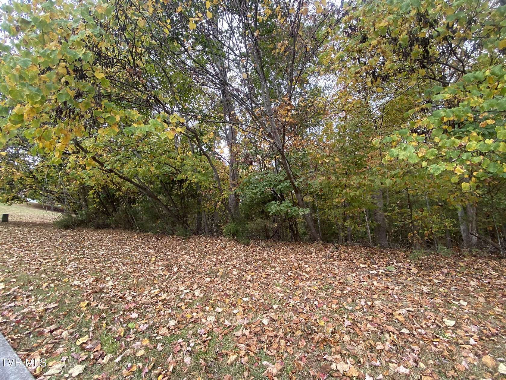 1 Acre of Residential Land for Sale in Piney Flats, Tennessee