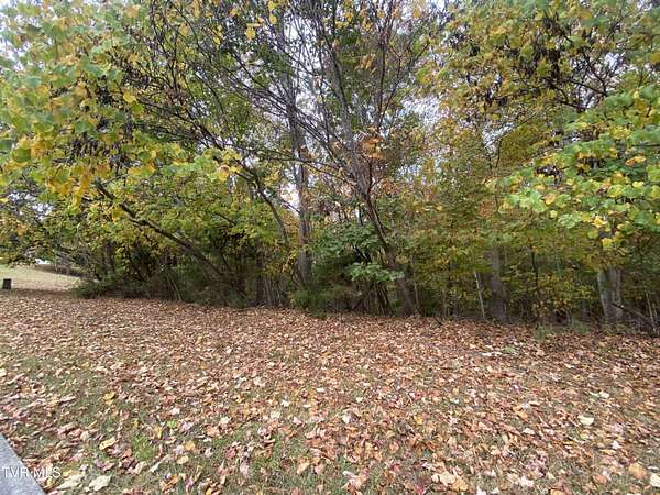 1 Acre of Residential Land for Sale in Piney Flats, Tennessee