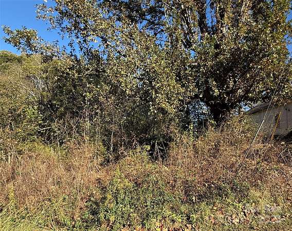 0.32 Acres of Residential Land for Sale in Stony Point, North Carolina