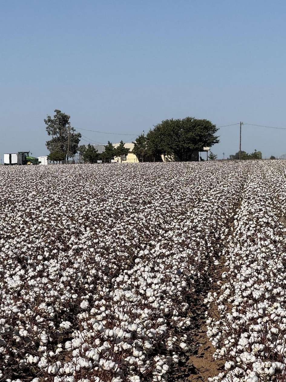 Land for Sale in Plainview, Texas