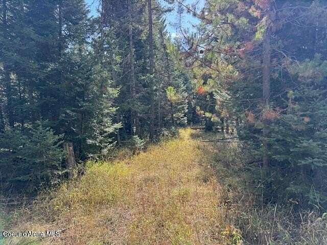5 Acres of Land for Sale in St. Maries, Idaho
