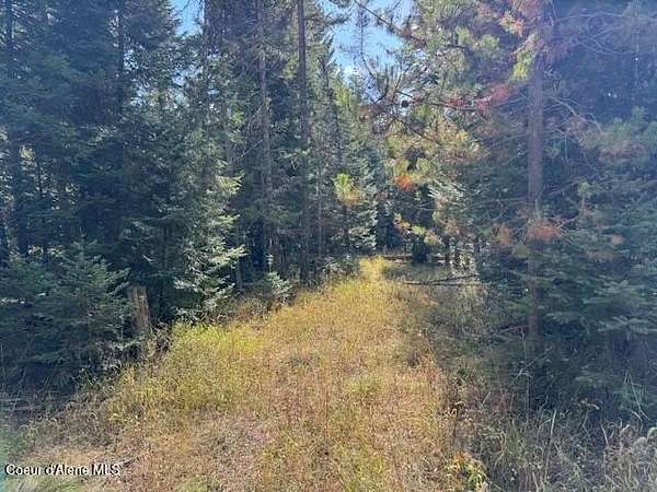 5 Acres of Land for Sale in St. Maries, Idaho