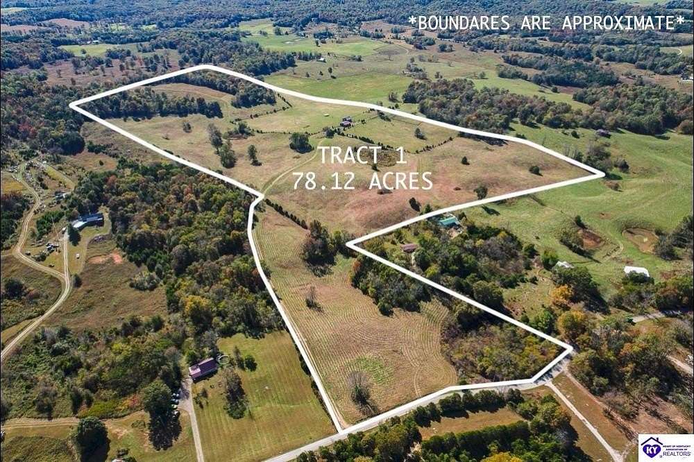 78.1 Acres of Land for Sale in Upton, Kentucky