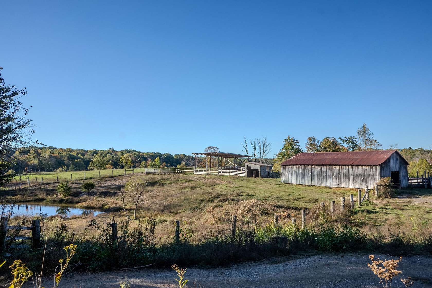 79.9 Acres of Land for Sale in Irvine, Kentucky