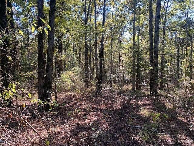 3 Acres of Residential Land for Sale in Kennedy, Alabama