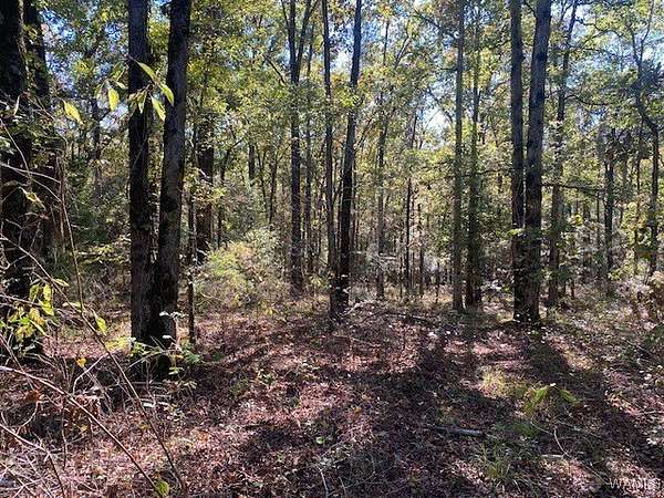 3 Acres of Residential Land for Sale in Kennedy, Alabama