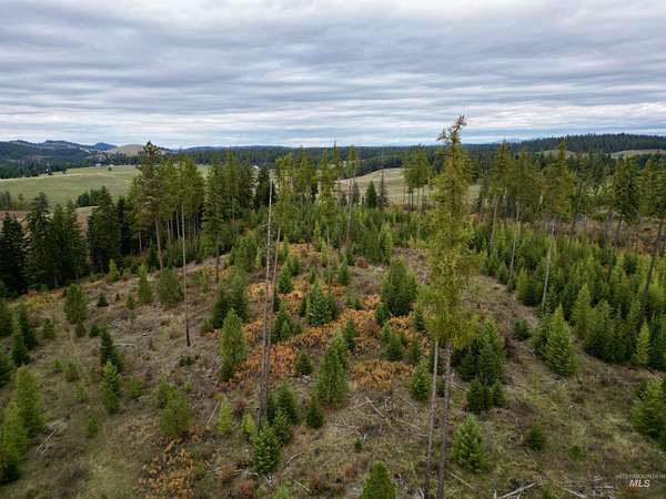 10 Acres of Land for Sale in Kamiah, Idaho