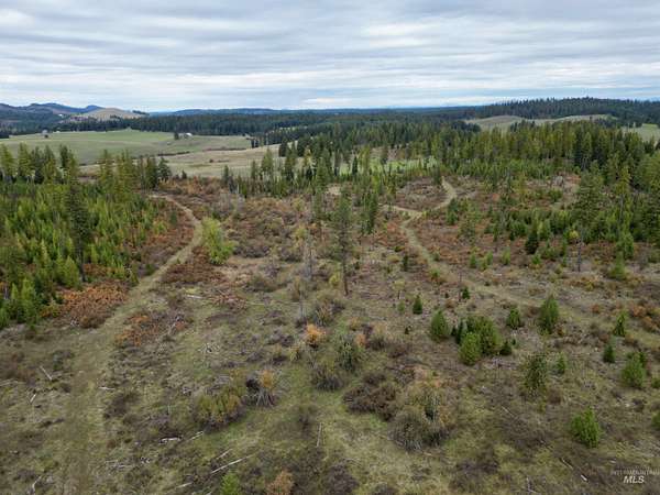 10 Acres of Land for Sale in Kamiah, Idaho