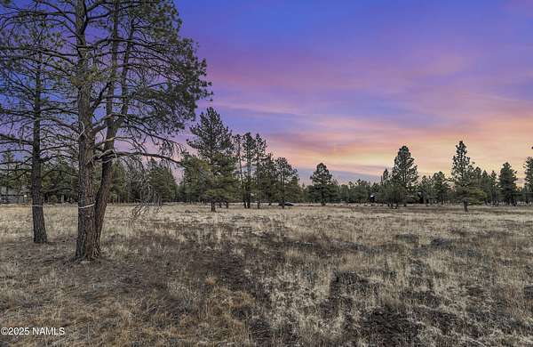 4 Acres of Residential Land for Sale in Flagstaff, Arizona