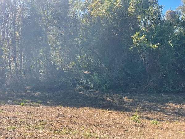 7.29 Acres of Residential Land for Sale in Ashford, Alabama