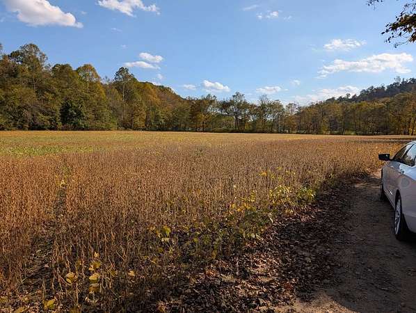 35.3 Acres of Land for Sale in Lucasville, Ohio