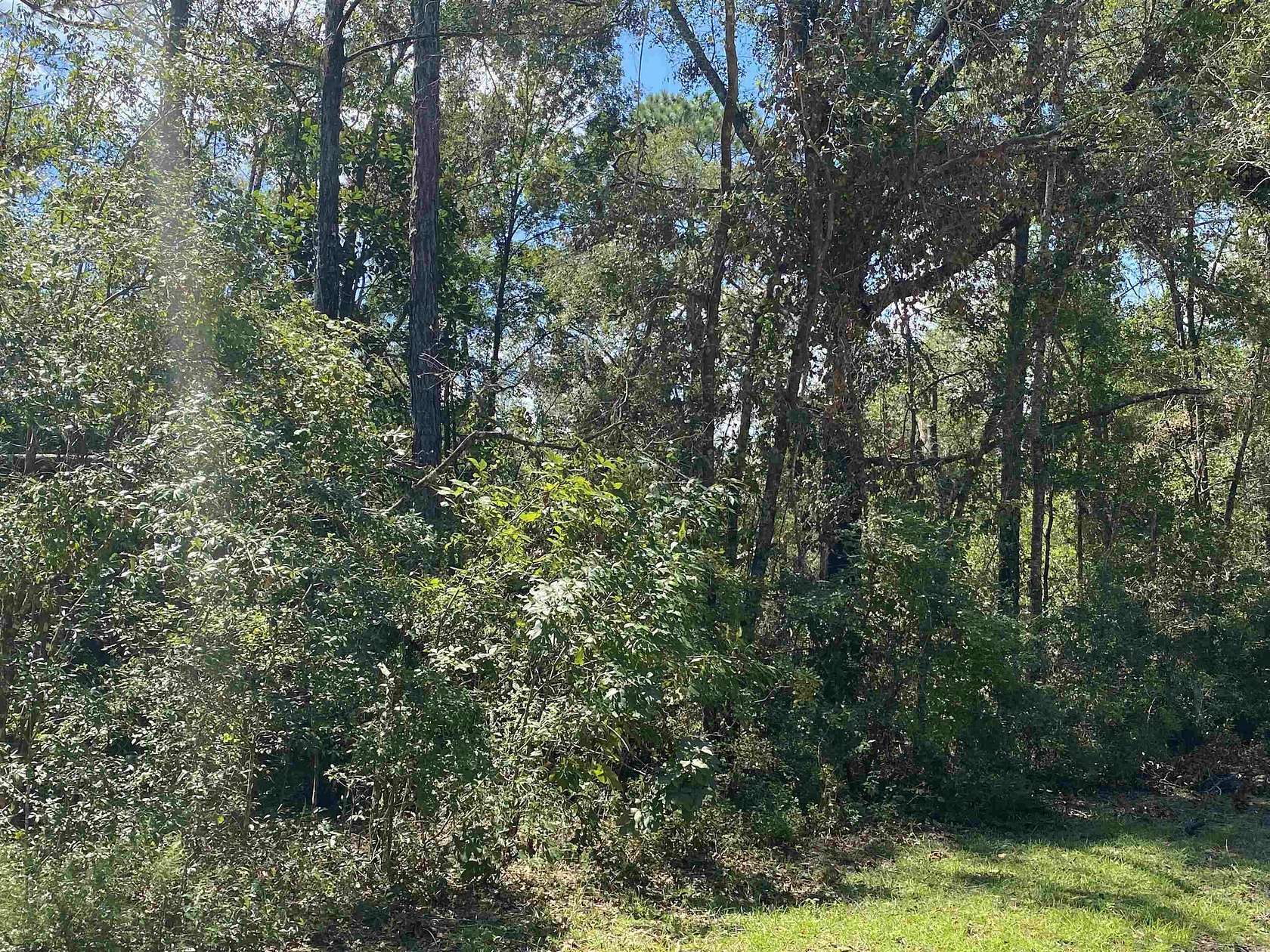 0.53 Acres of Residential Land for Sale in Lee, Florida
