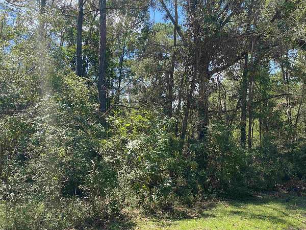 0.53 Acres of Residential Land for Sale in Lee, Florida