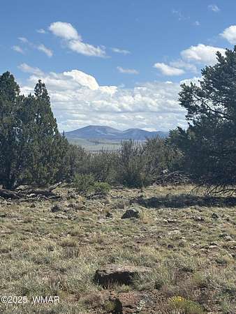 9.1 Acres of Residential Land for Sale in Concho, Arizona