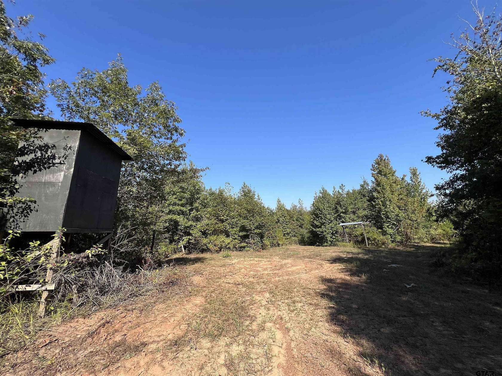 43.8 Acres of Recreational Land for Sale in Avinger, Texas