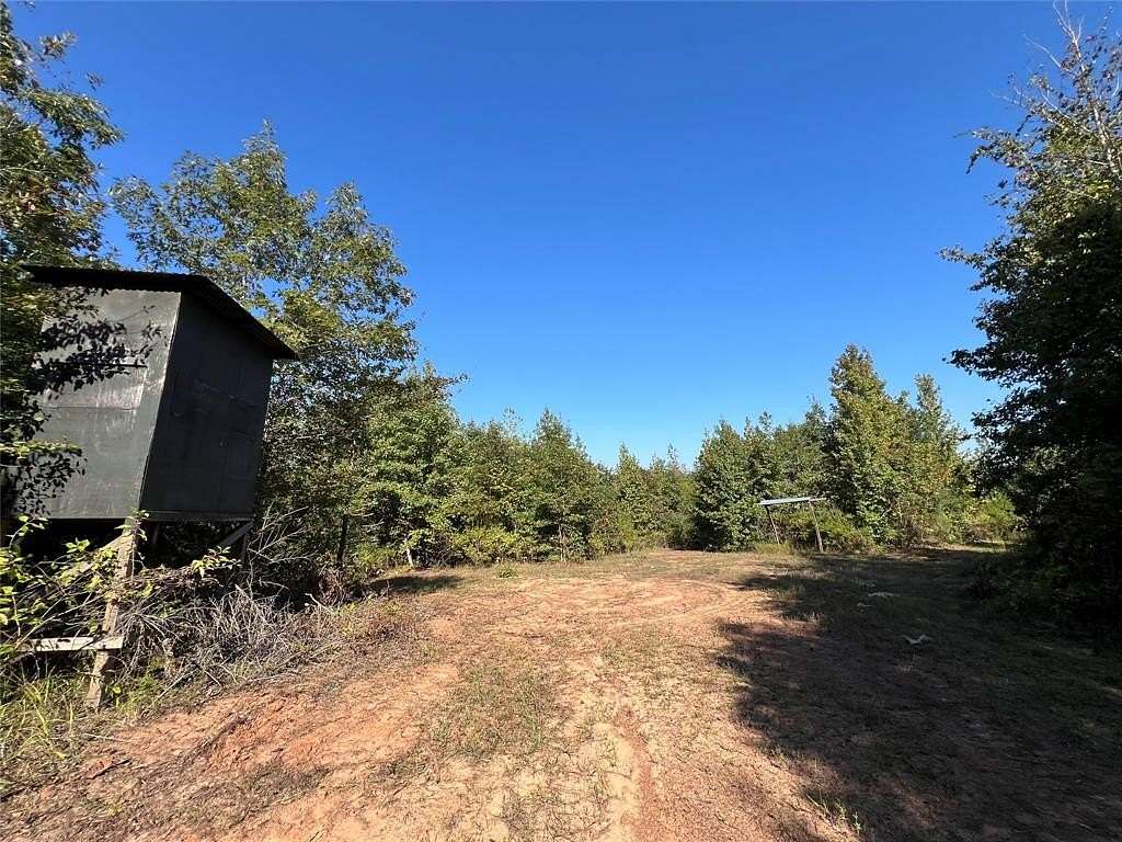 43.8 Acres of Recreational Land for Sale in Avinger, Texas