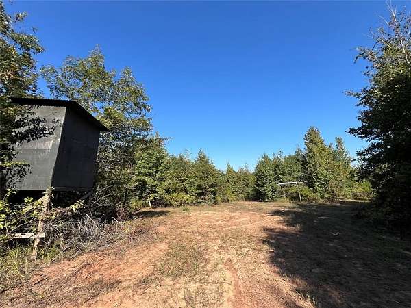 43.8 Acres of Recreational Land for Sale in Avinger, Texas