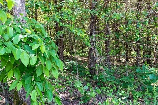 2.18 Acres of Residential Land for Sale in Bigelow, Arkansas