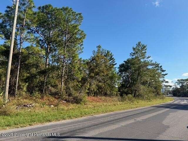 1.1 Acres of Commercial Land for Sale in Spring Hill, Florida