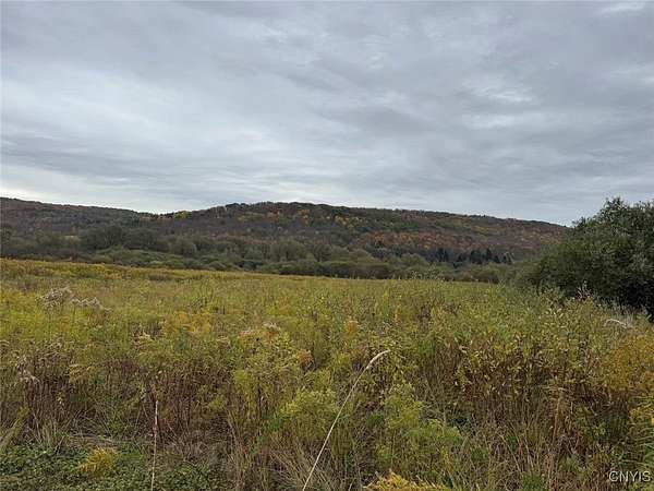 8.5 Acres of Residential Land for Sale in Hinsdale, New York