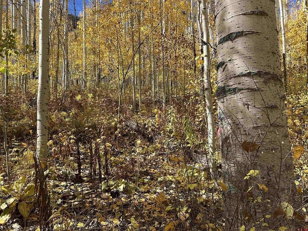 1 Acre of Land for Sale in Durango, Colorado