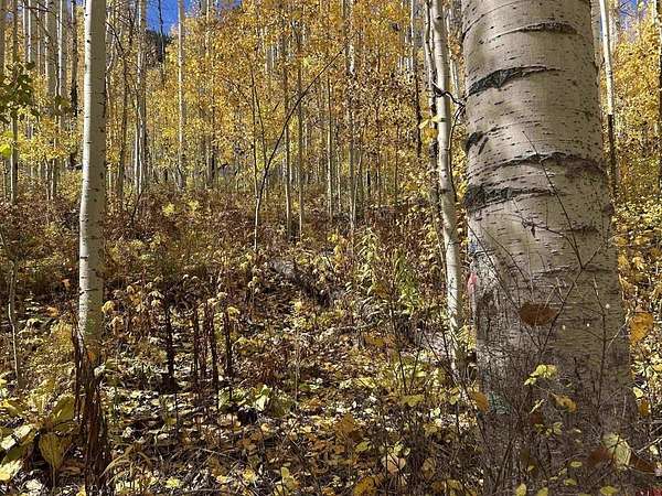 1 Acre of Land for Sale in Durango, Colorado