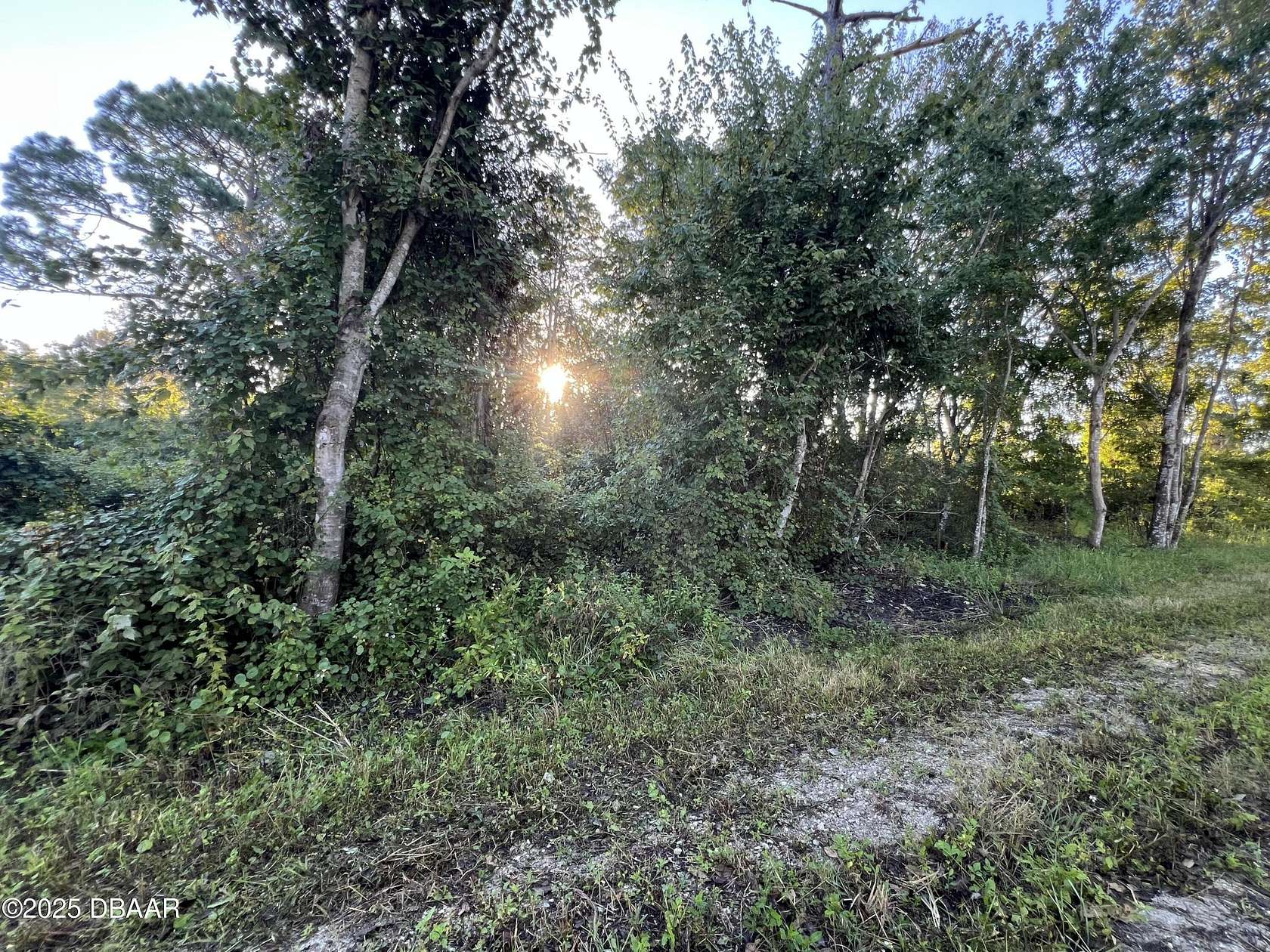 0.26 Acres of Land for Sale in DeLand, Florida