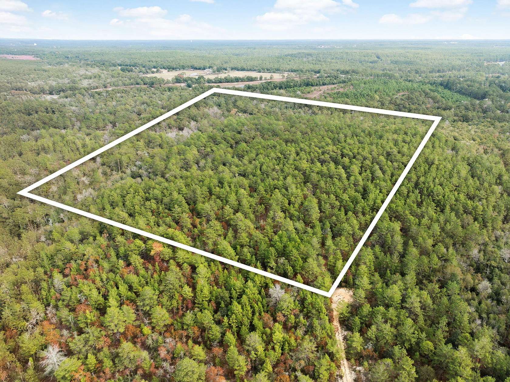 40 Acres of Land for Sale in DeFuniak Springs, Florida