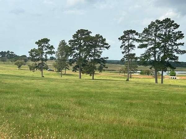 5 Acres of Land for Sale in Hillister, Texas