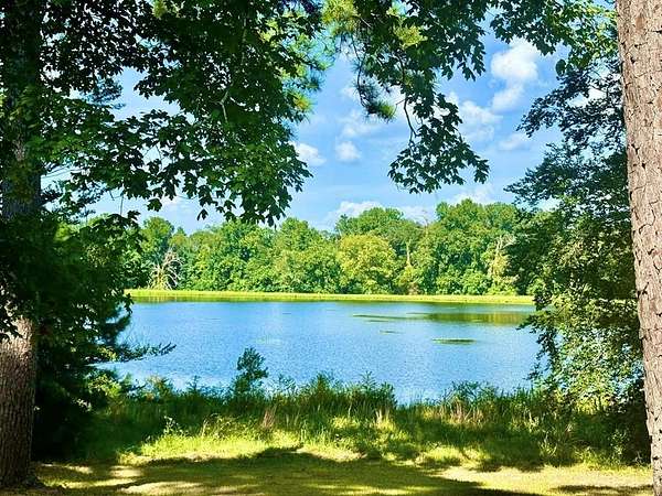 5 Acres of Residential Land for Sale in Hillister, Texas