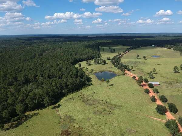 12.5 Acres of Land for Sale in Hillister, Texas