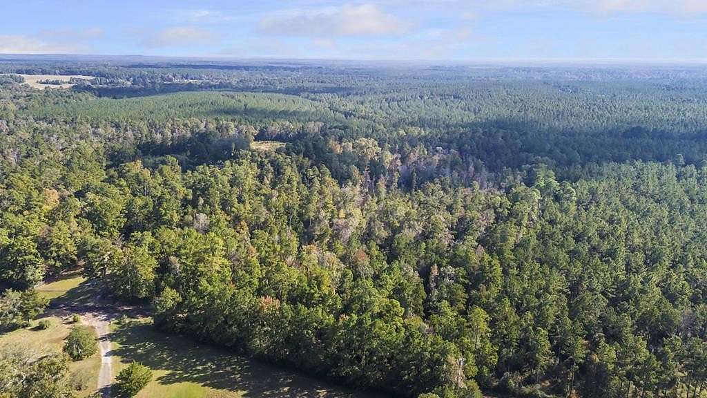 25.3 Acres of Land for Sale in Zavalla, Texas