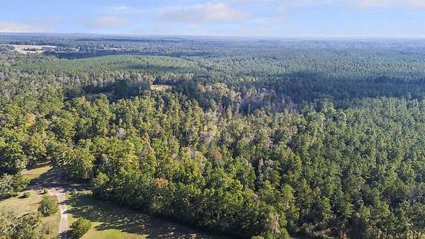 25.3 Acres of Land for Sale in Zavalla, Texas