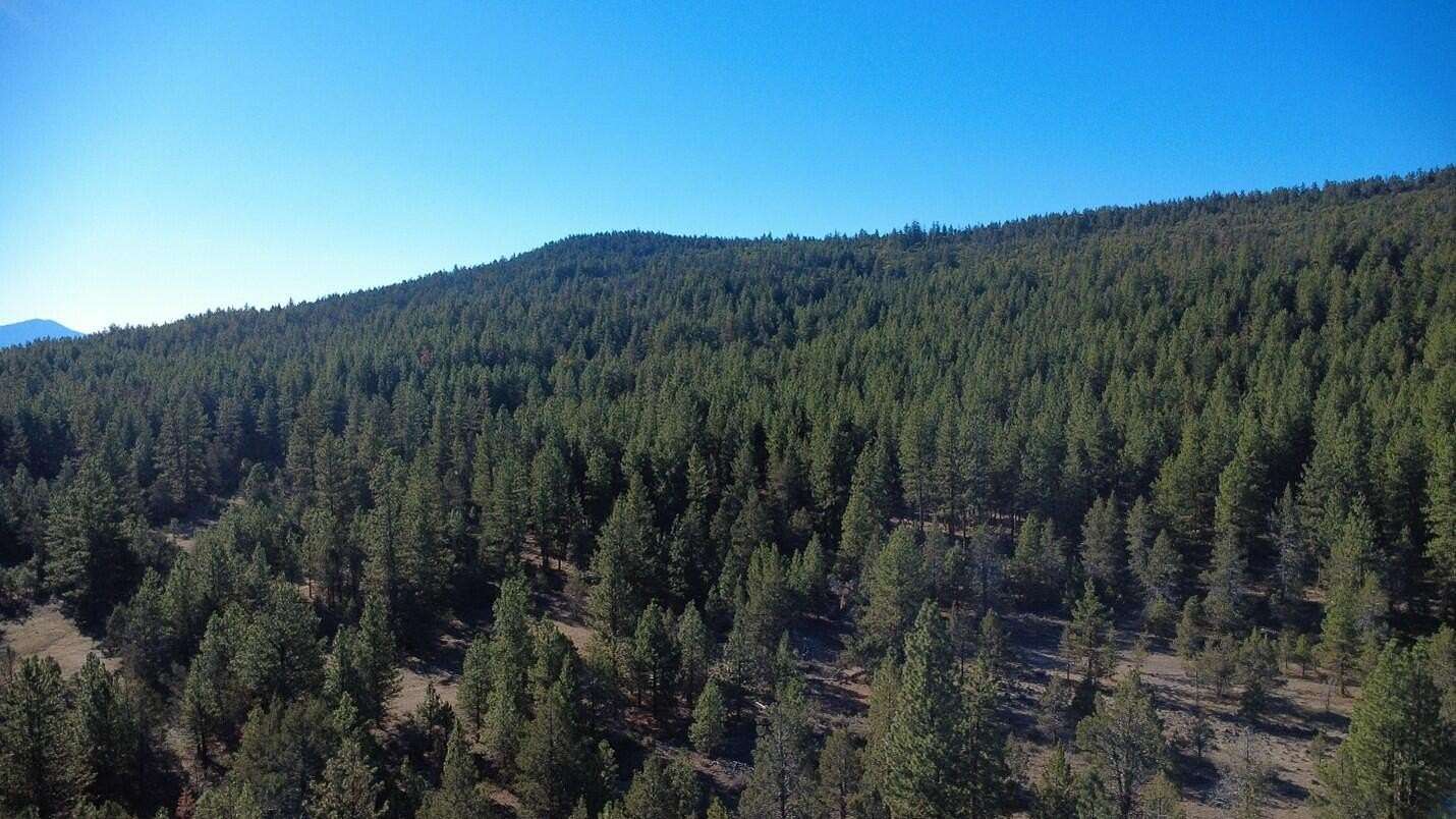 914 Acres of Recreational Land for Sale in Dorris, California