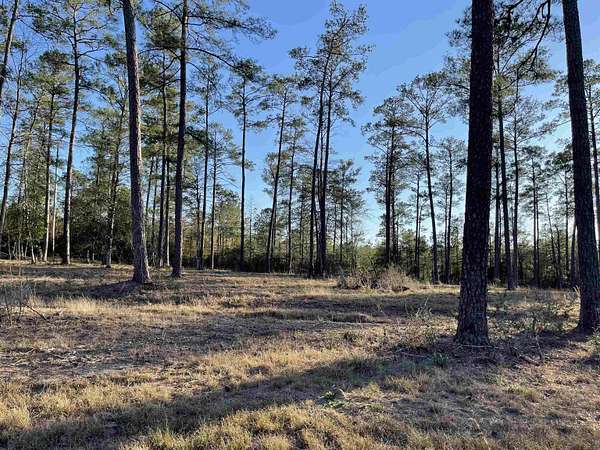 1 Acre of Residential Land for Sale in Brookeland, Texas