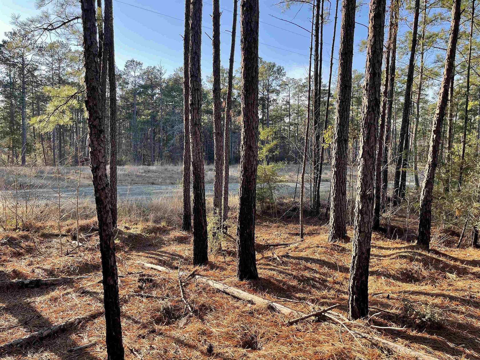 1 Acre of Residential Land for Sale in Brookeland, Texas
