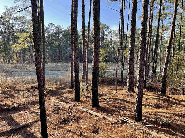 1 Acre of Residential Land for Sale in Brookeland, Texas