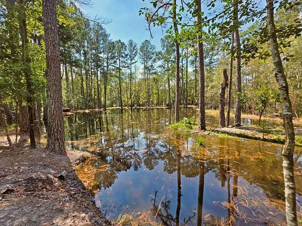 21 Acres of Improved Recreational Land for Sale in Aiken, South Carolina
