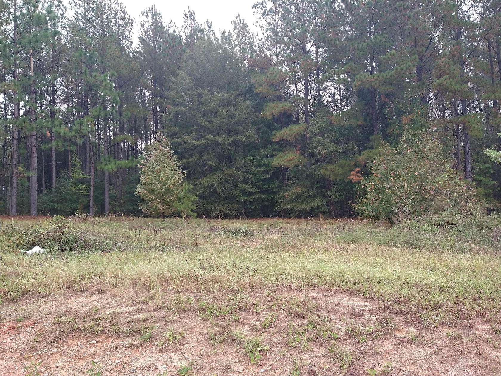 5 Acres of Commercial Land for Sale in Keysville, Georgia