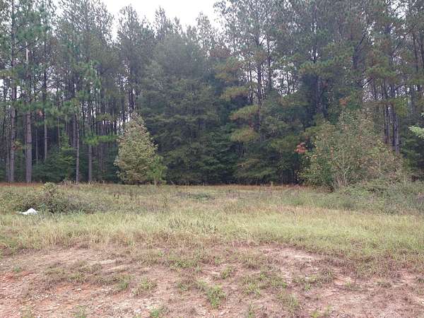 5 Acres of Commercial Land for Sale in Keysville, Georgia