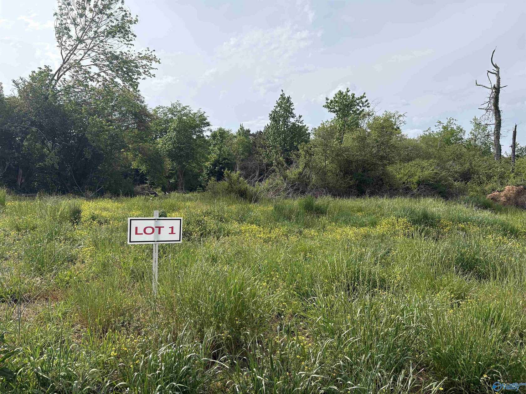 10.5 Acres of Land for Sale in Henagar, Alabama