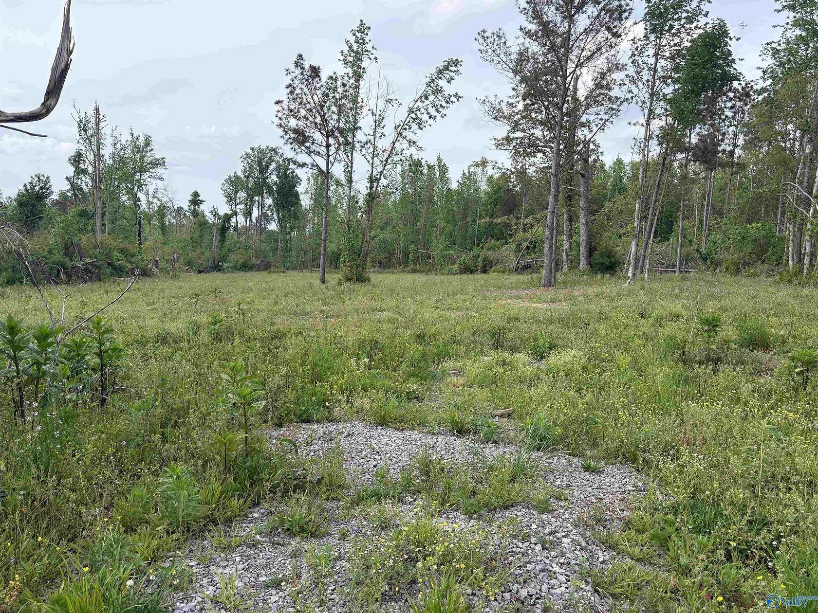 4.48 Acres of Residential Land for Sale in Henagar, Alabama