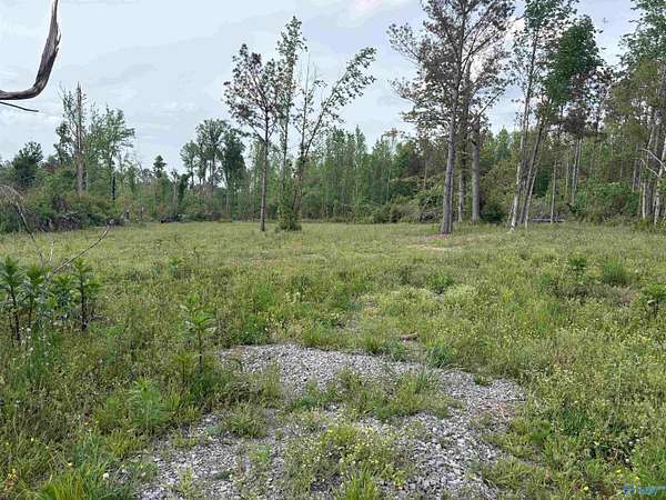 4.48 Acres of Residential Land for Sale in Henagar, Alabama