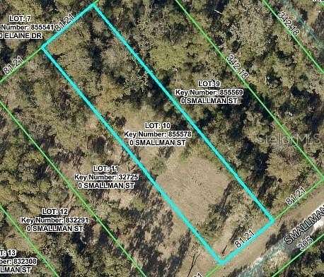 0.64 Acres of Residential Land for Sale in Webster, Florida