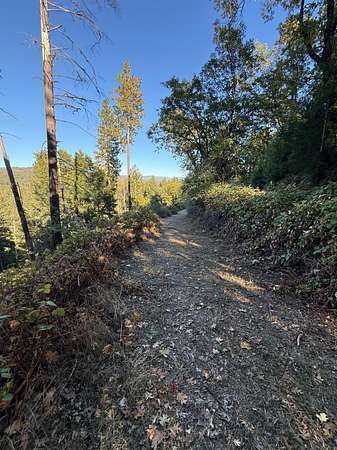 3.38 Acres of Residential Land for Sale in Wilseyville, California